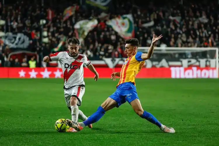 雨燕直播在线观看高清